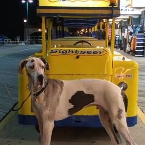 Meet your Posher, Kelly